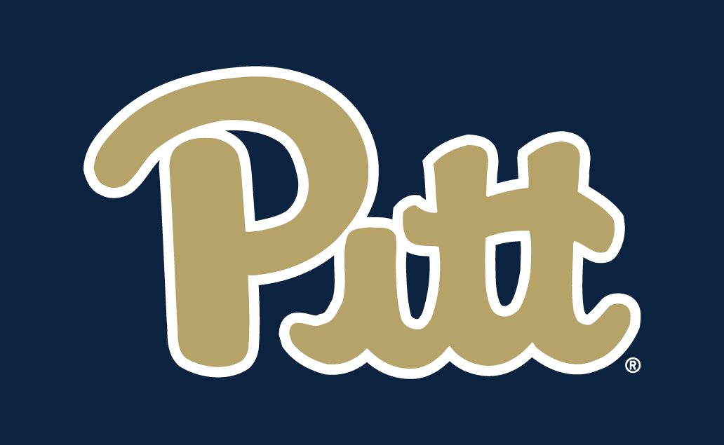 Pittsburgh Panthers 2016-2018 Alternate Logo v2 diy iron on heat transfer